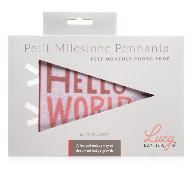 Blushing Meadow Petit Milestone Pennant