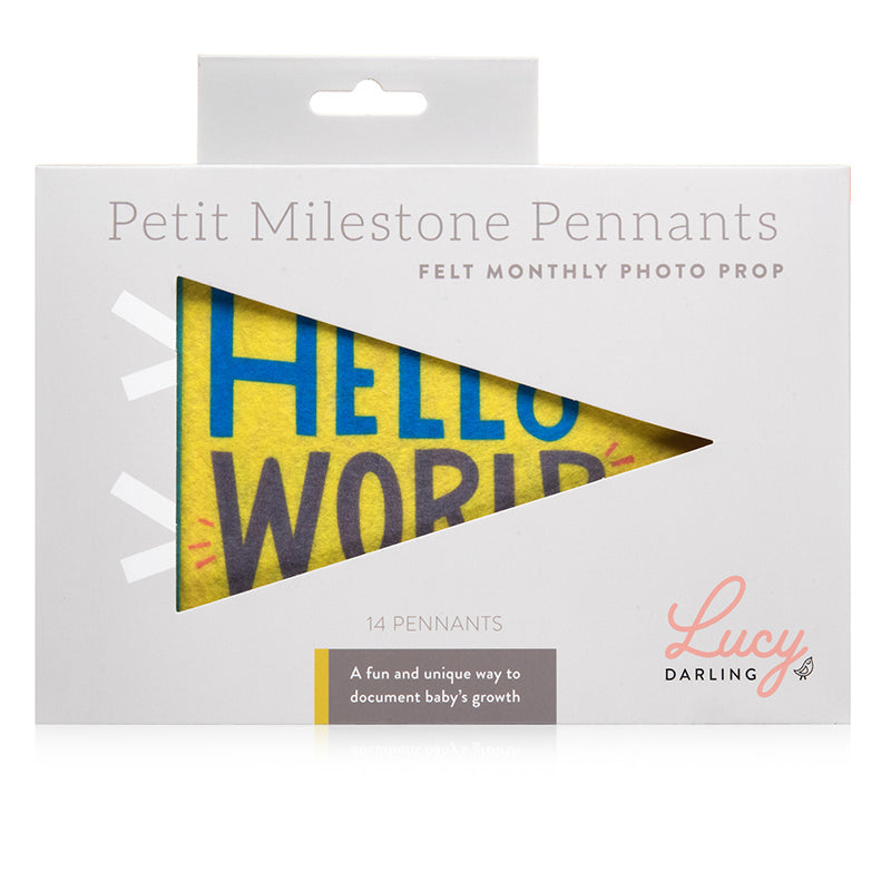 Little Kaleidoscope Petit Milestone Pennants