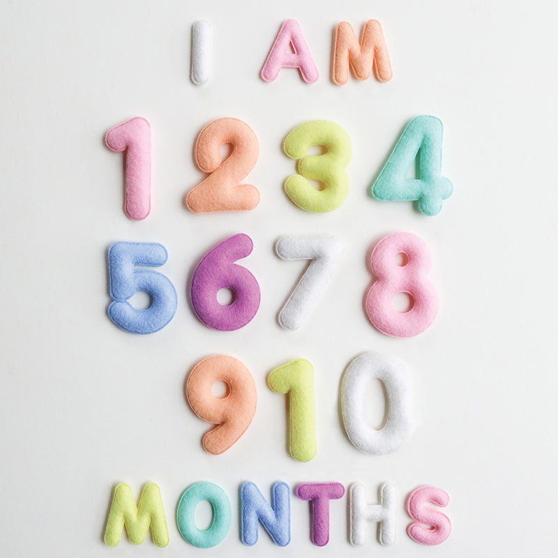 Milestone Felt Numbers in Pastel